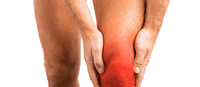 Maintains healthy bones, cartilage and muscles