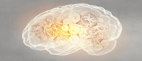 Improves memory, learning and focus
